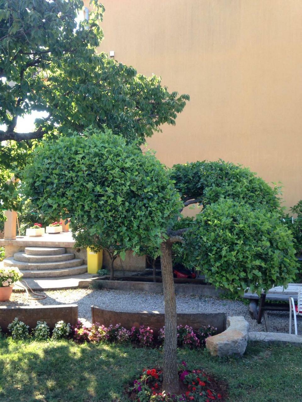 Spacious And Modern App With Big Terrace Apartment Malinska